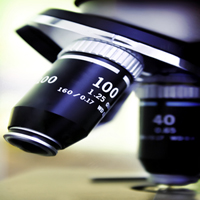 Microscope